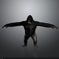 Gorilla Standing With Arms Outstretched On Gray Background And Reflective Floor