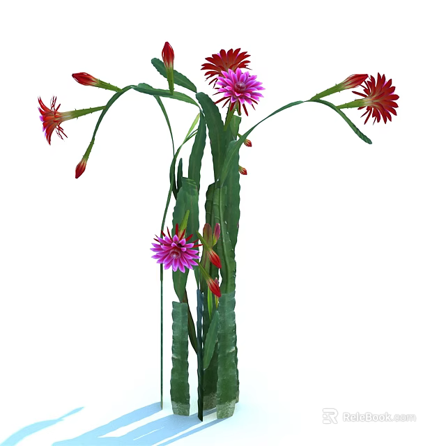 Stunning Red and Pink Flowers with Long Green Stems and Lush Leaves 3d model 