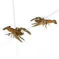 Two Raw Crayfish With Brown Shells And Claws On White Background 3d model