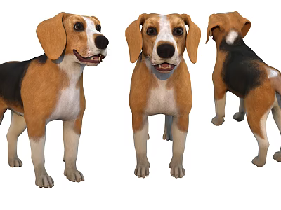 Modern Dog Beagle Beagle 3d model