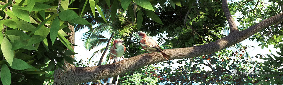 Two Colorful Birds Perched On Tree Branch Amidst Green Leaves And Palm Trees 3d model 