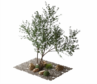 Landscape tree courtyard sketch stone 3d model