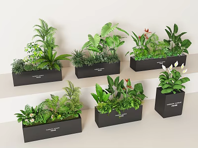 Green Plants and Flowers in Black Rectangular Planters Arranged on Light Colored Shelves 3d model