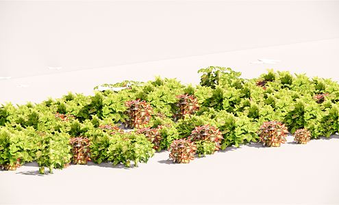 modern shrub flower border plant cluster 3d model