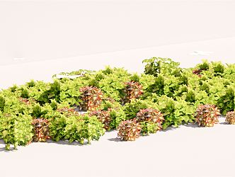 modern shrub flower border plant cluster 3d model