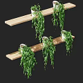 Multiple Hanging Bonsai Potted Plants With Green Trailing Vines On Wooden Shelves