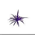Blue Glowing Plant with Slender Leaves Spreading Outwards on Black Background