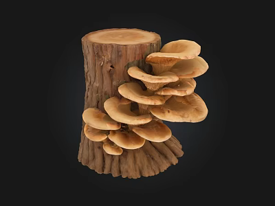 Natural Mushrooms Growing On Tree Stump With Brown Cap And Cluster 3d model