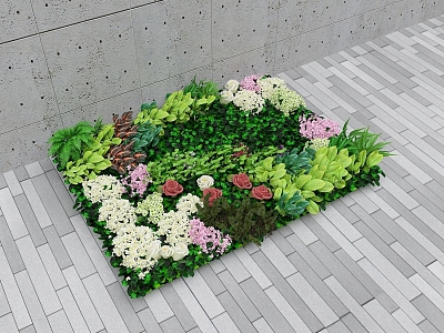 plant wall green grass model