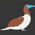 Cartoon Style Bird Figure With Orange White Feathers And Blue Beak And Feet