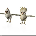 Two White Chicks With Red And Yellow Crests Spread Wings Standing On White Background