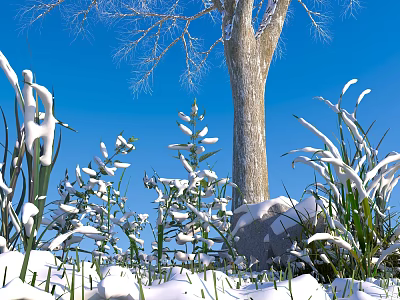 Snow Covered Flowers And Plants With Bare Tree Trunk Blue Sky And Stone 3d model