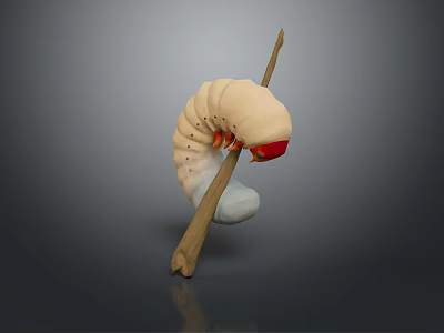 Beige Caterpillar With Red Head Crawling On Wooden Stick Against Gray Background 3d model