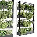 Lush Vertical Garden With Multi Tiered Black Shelves And Various Green Plants
