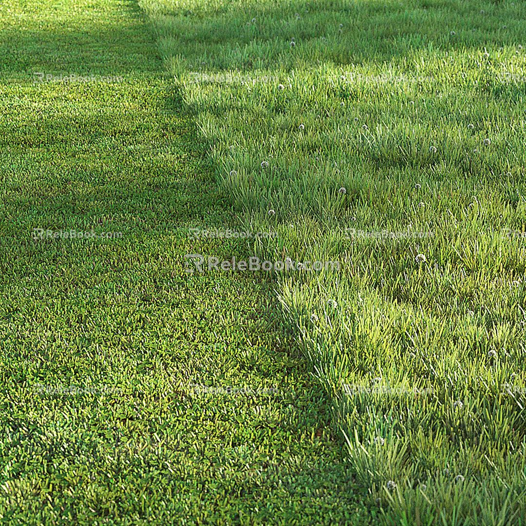 modern grassland 3d model