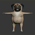 3D Pug Standing With Outstretched Arms Funny Face Black Ears