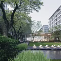 Modern Residential Landscape Design With Green Trees Lawn And Outdoor Courtyard Area