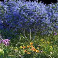 Lush Flower Garden With Blue Bushes Purple Blooms Yellow Flowers And Green Grass