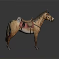Traditional Horse Riding Saddle With Red Blanket And Leather Straps