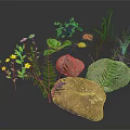 Natural Green Plants With Ferns Yellow Flowers Small Grasses And Stones