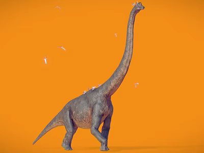 3D Rendered Brachiosaurus Dinosaur with Long Neck on Orange Background and Flying Birds 3d model