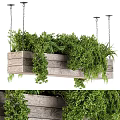 Wooden Hanging Basket With Lush Green Plants And Trailing Foliage Suspended By Chains