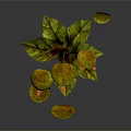 Vibrant Tropical Carnivorous Plant Featuring Orange Pitchers Yellow Lids And Green Leaves