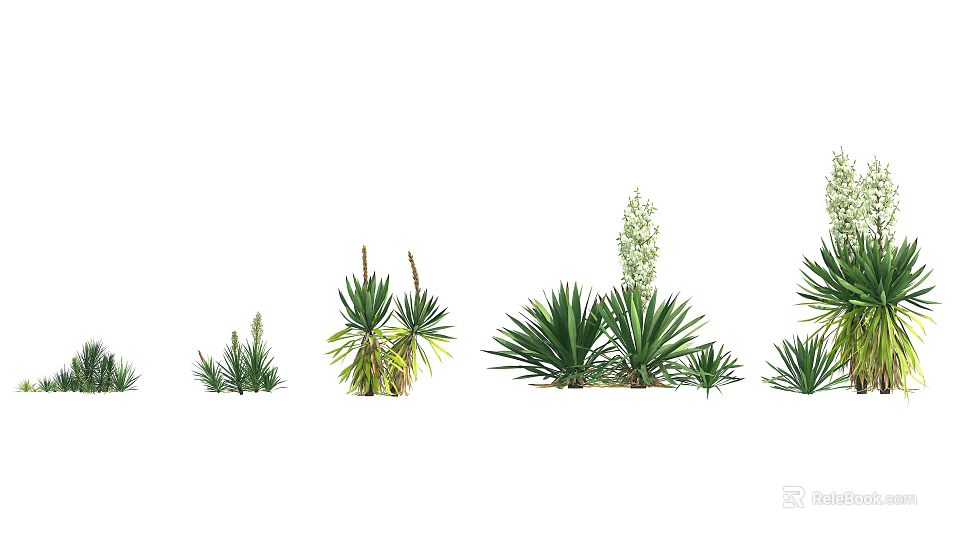 Various Green Plants With Long Leaves And Clustered Growth Habits 3d model 