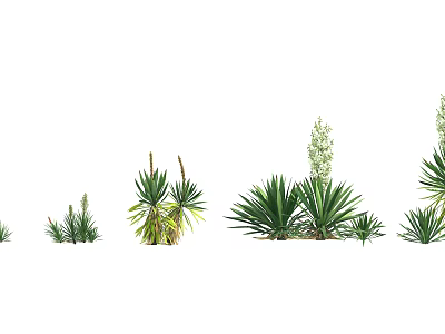 Various Green Plants With Long Leaves And Clustered Growth Habits 3d model