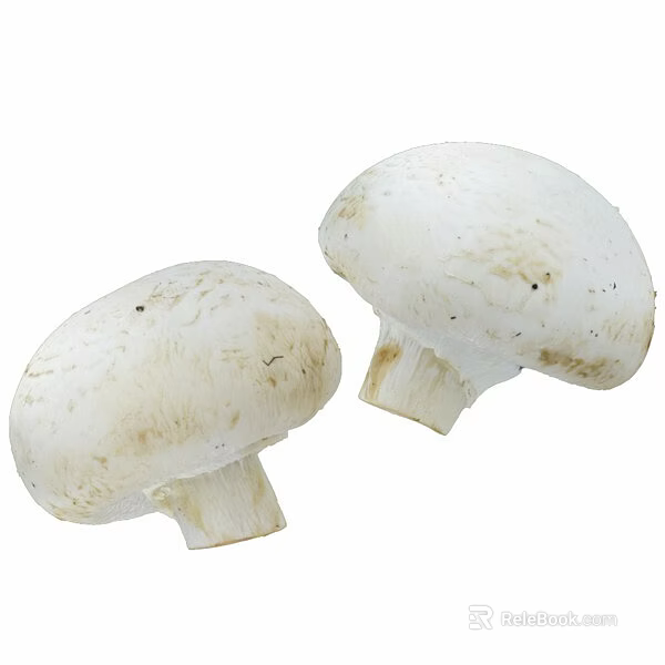 Fresh White Mushrooms Whole Organic Vegetables Ideal for Healthy Home Cooking 3d model 