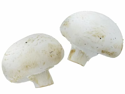 Fresh White Mushrooms Whole Organic Vegetables Ideal for Healthy Home Cooking 3d model