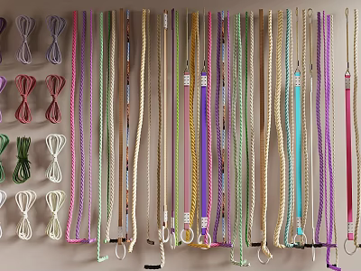 Colorful Component Straps Hanging on Wall with Hooks and Different Textures for Decorative Use 3d model