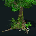 Cartoon Scene Of Lush Green Tree With Thick Trunk Small Plants And Stones At Roots