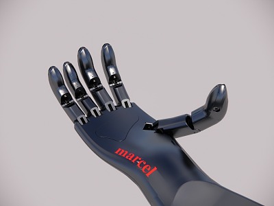 Metal Palm Five Finger 3d model