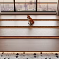 Wooden Flooring With Herringbone Pattern In Bright Living Room With City View And Shiba Inu