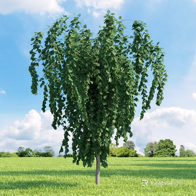 Lush Weeping Arbor With Green Hanging Branches And Leaves Under Blue Sky And White Clouds 3d model 