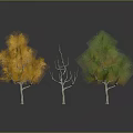 Three Trees Display Yellow Foliage Leafless Trunk And Green Leaves
