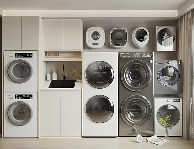 Washing Machine Drum Washing Machine Wall-mounted Washing Machine Double Barrel Washing Machine 3d model