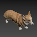 Realistic Brown And White Corgi 3D Model In Standing Pose With Detailed Features