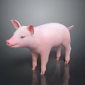 Cute Pink Piglet Standing On Shiny Black Surface With Soft Gray Background