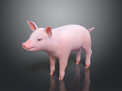 Cute Pink Piglet Standing On Shiny Black Surface With Soft Gray Background 3d model