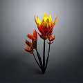 Vibrant Red and Yellow Flower Plant with Petals and Black Stems on Gray Background