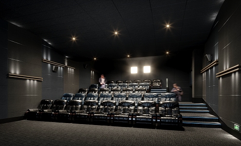 Cinema Hall Senior Cinema Hall Screening Hall Characteristic Cinema Hall 3d model