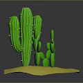 Green Cactus Plants of Different Sizes on Yellow Base with Gray Background