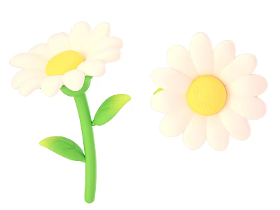 Cartoon Flower Daisy Flower 3d model