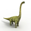 Large Green Dinosaur With Long Neck And Patterned Skin Standing On White Background