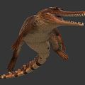 Modern Crocodile Alligator 3d model