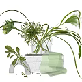 Transparent Glass Vase With Green Grasses And White Stacked Containers Decorative Indoor Plants