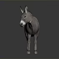 Detailed Lifelike Grey Donkey Standing On Dark Background