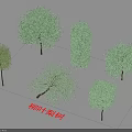 Willow Leaf Pear Trellis Trees With Different Green Foliage Shapes And Shadows 3d model